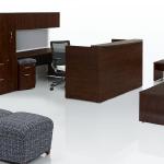 Intrinsic: 
An affordable, well-dressed aesthetic for the entire office environment - lobby to executive suite, conferencing to private office. Surface materials, featuring embossed wood grain laminates, reflect the rich look of wood. Premium Quality Long-lasting, durable construction
